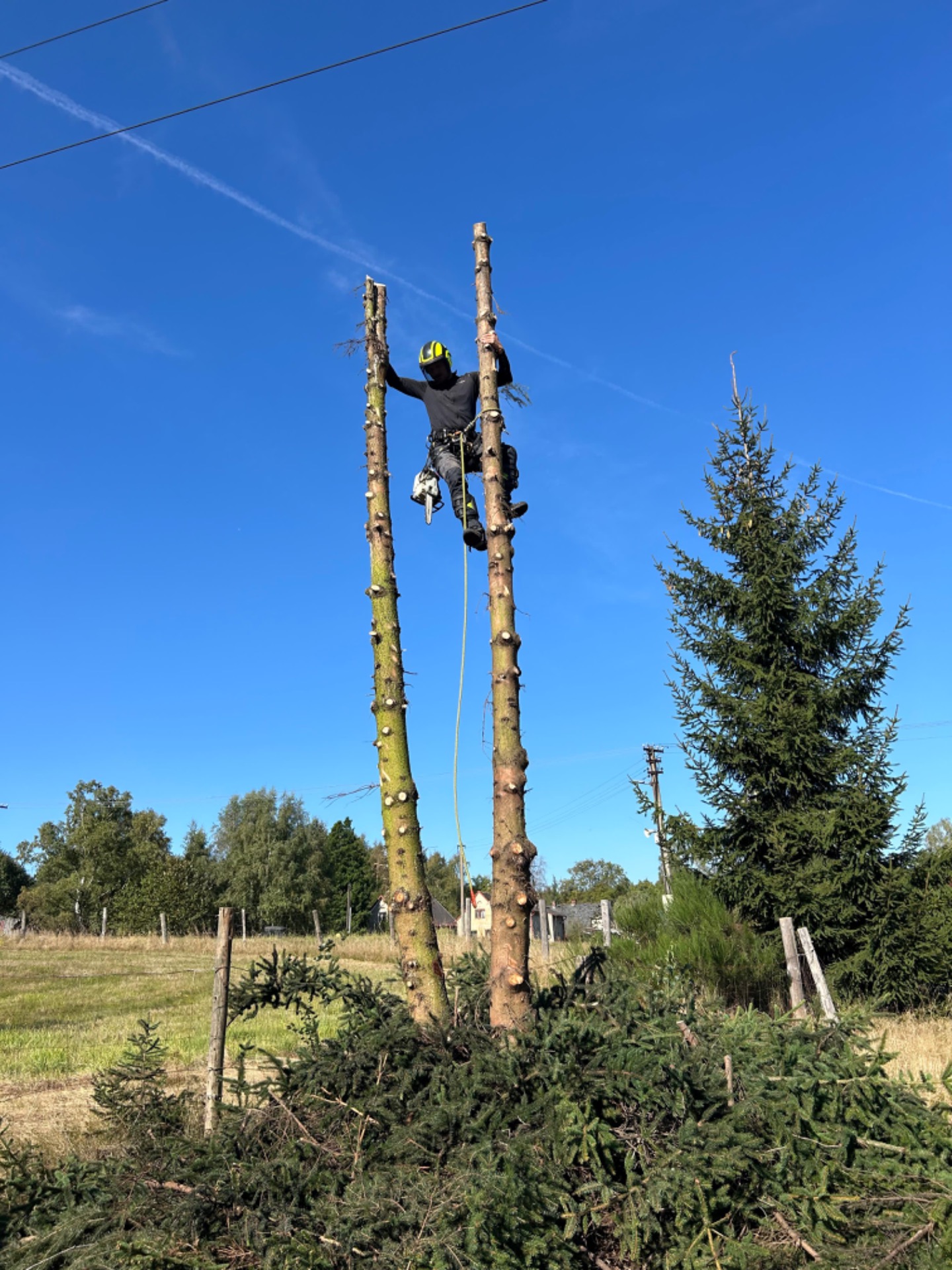 Postupné kácení smrků na pozemku RD mezi plotem, domem a vedením NN v obci Rybniště.